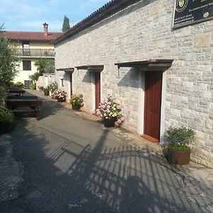Dorma Vidulini